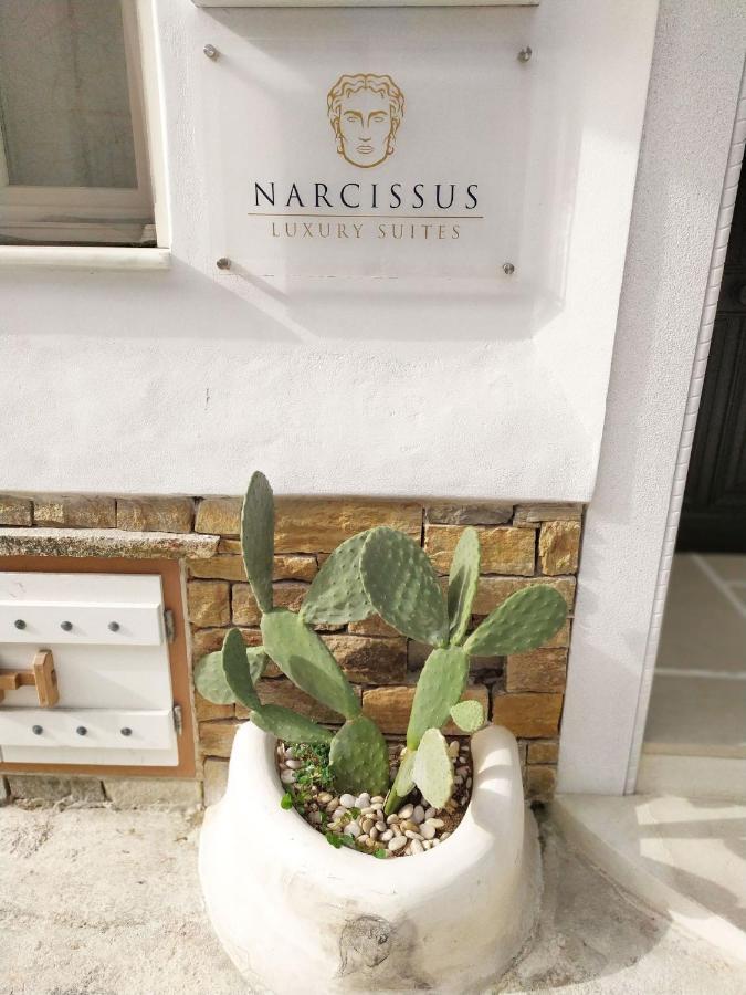 Narcissus Luxury Suites Naxos City Экстерьер фото